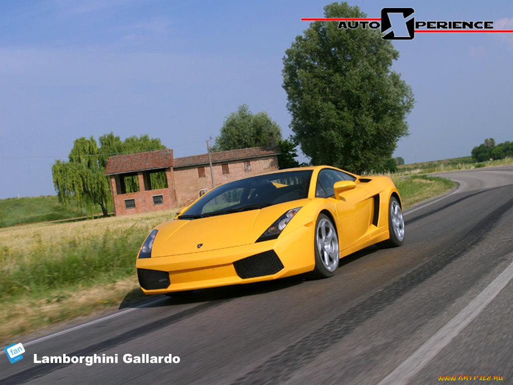 lamborghini, gallardo, 